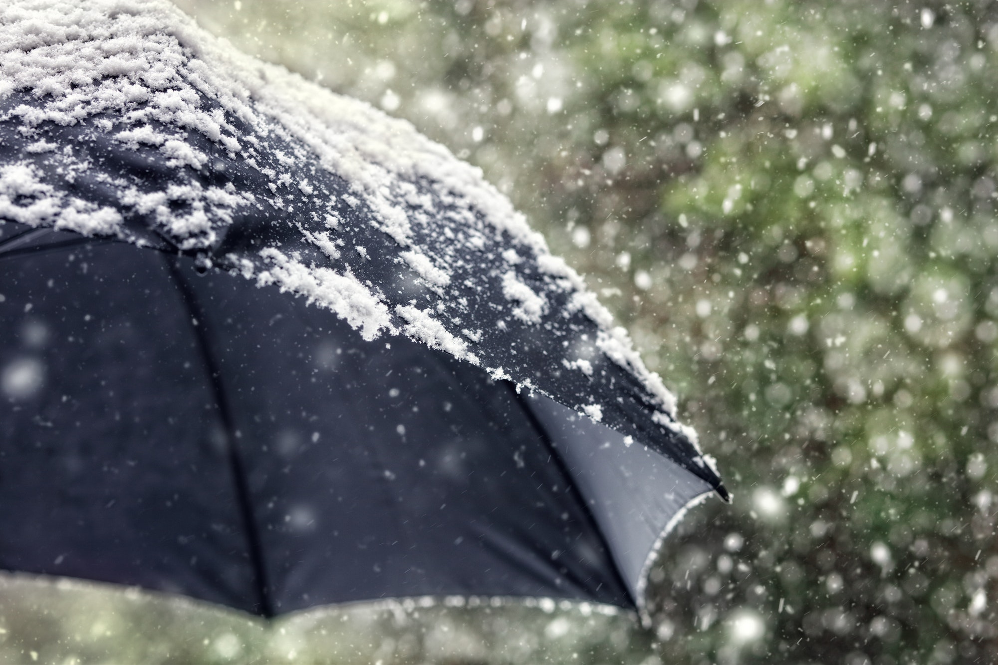 Snow flakes falling on a black umbrella