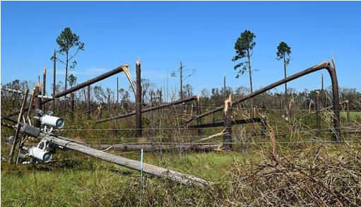 Hurricane Michael’s Destruction And Reconstruction – Looking Back Five ...